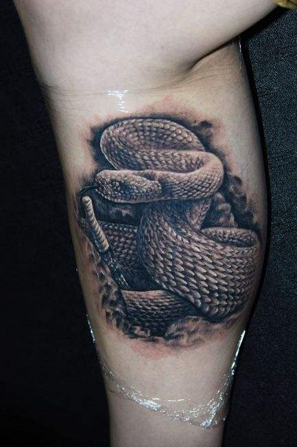 性感好看的蛇纹身图片第7张