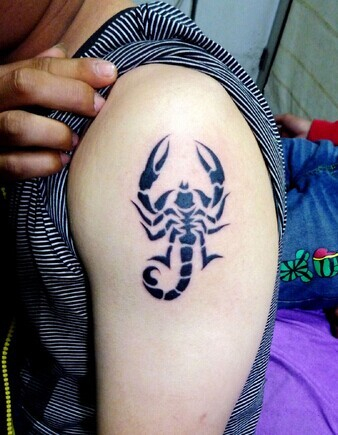 时尚迷人的手臂蝎子纹身图案大全第1张
