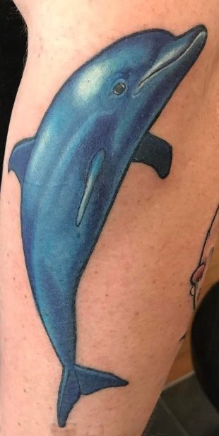 蓝色海豚纹身图片第1张