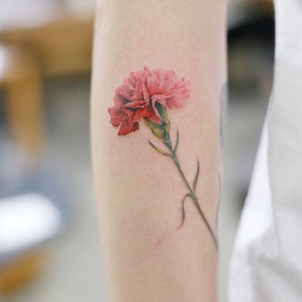 粉色花卉手臂纹身图片第1张