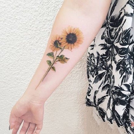 美女手臂彩色向日葵植物花卉艺术纹身图片第1张