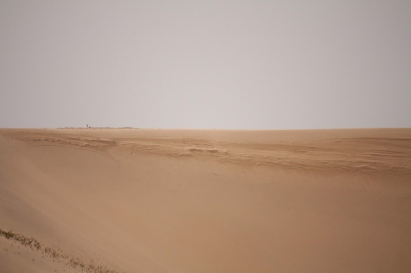 金黄色沙漠沙丘高清风景壁纸图片第12张