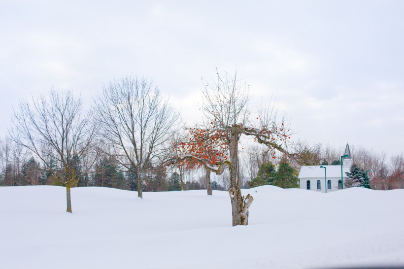 纯白好看唯美的雪景景色高清壁纸图片第3张