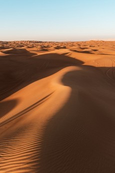 在荒凉沙漠上行走的风景高清手机壁纸图片