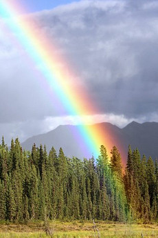 大自然彩虹景观好看壁纸图片