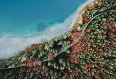 高空俯拍的树林风景图片，枝繁叶茂