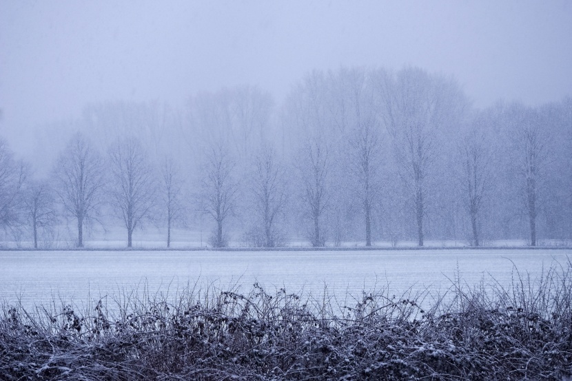 真实的冬季雪景图片|皑皑白雪唯美风景图片第4张