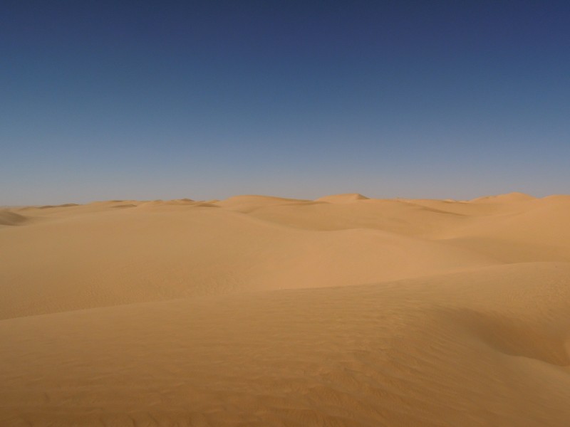 只有荒凉的沙漠图片_沙漠图片风景图片第5张