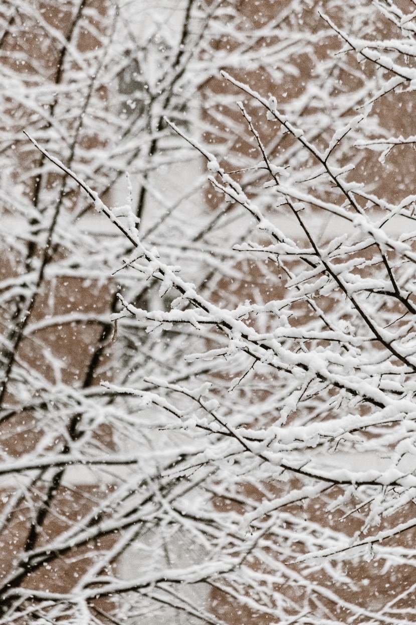 冬天的雪景图片 冬天雪景图片景色大图简单第5张