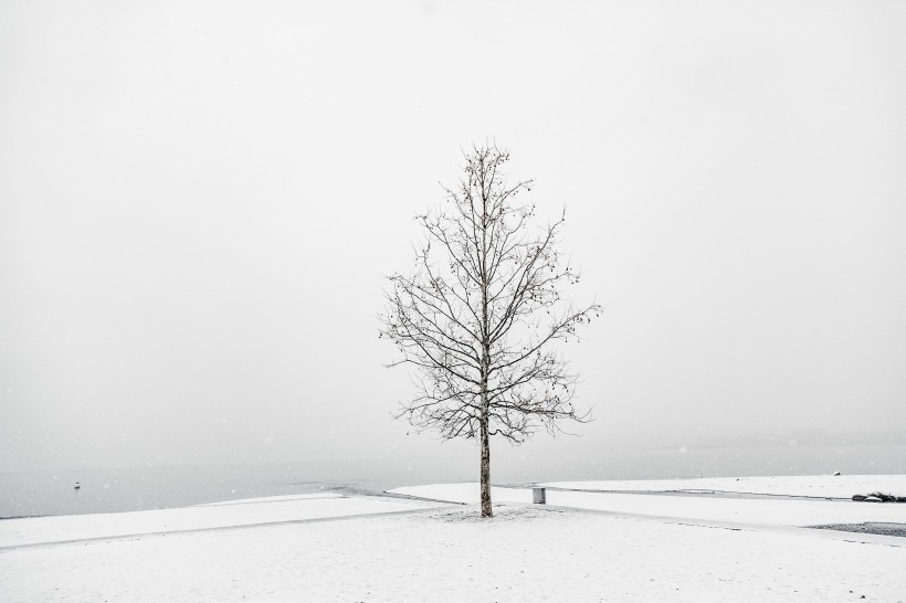 冬天的雪景图片 冬天雪景图片景色大图简单第11张