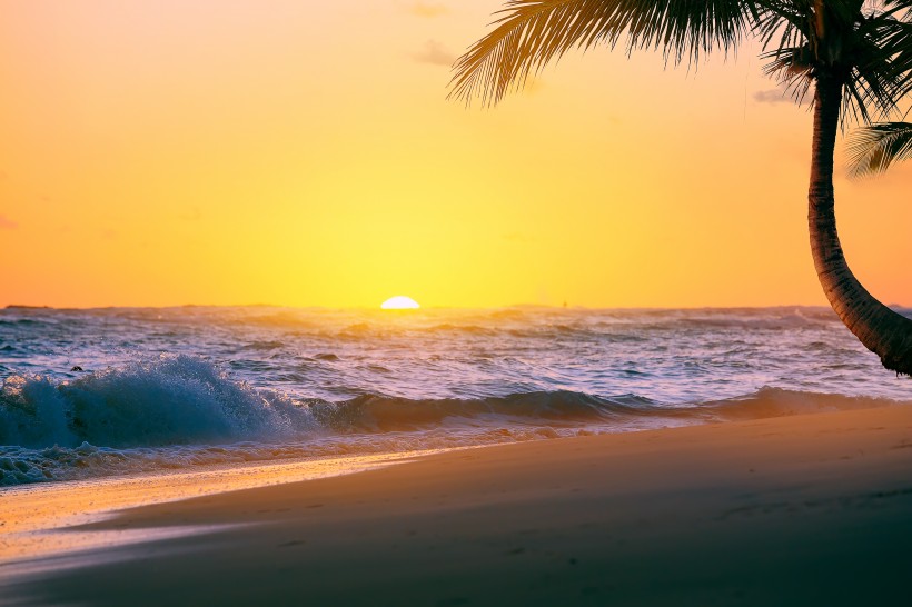 海滩椰树风景图片大全|椰树沙滩图片第2张