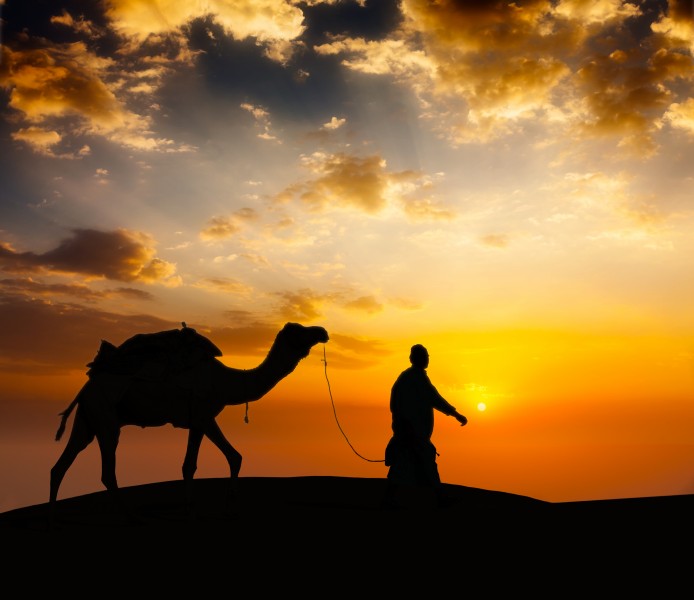 沙漠骆驼行走图片|沙漠骆驼图片大全图片卡通第9张