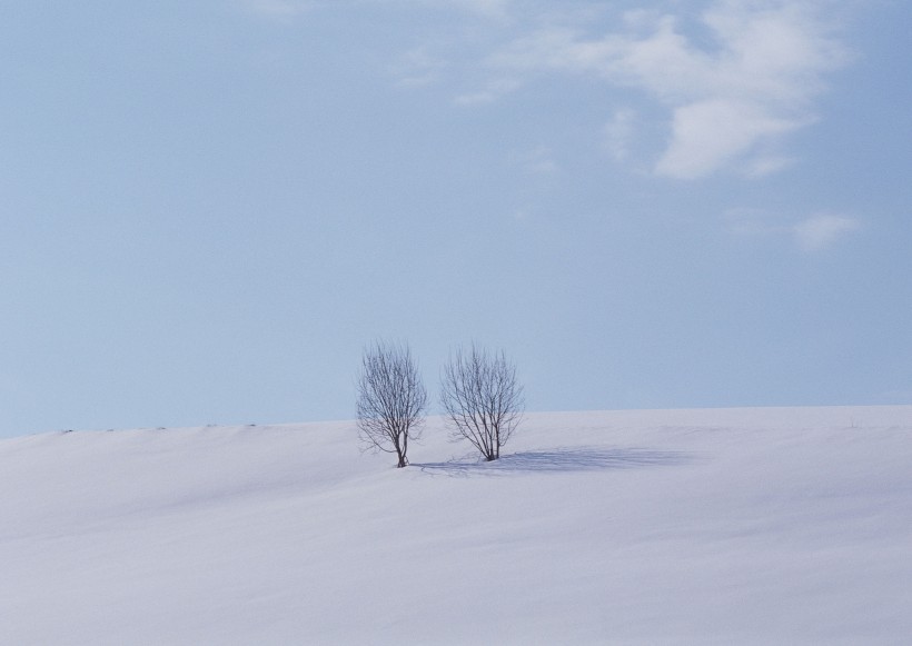图片冬天风景-冬天的风景图片优美第17张