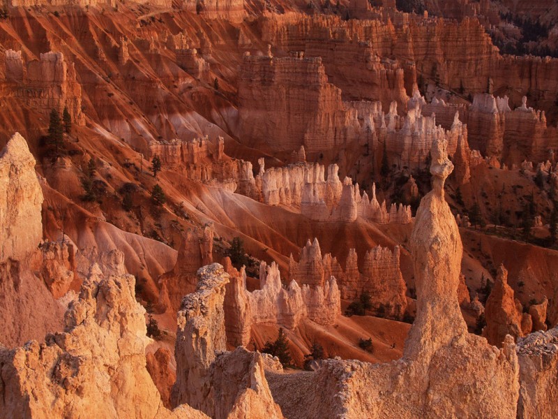 沙漠石头图片-沙漠奇石图片第1张