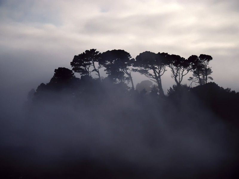 云雾缭绕的美景图片|云雾缭绕山水图片第12张