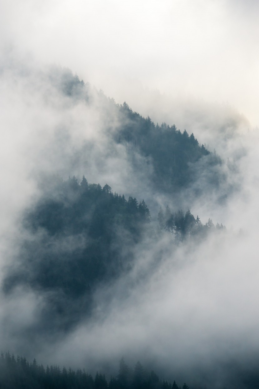 冬天呼气时的白雾图片-白色的雾像什么第10张