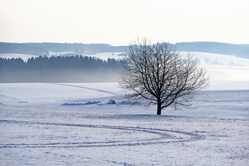 冬天白雪皑皑的美景照片-冬天雪景图片景色大图唯美第11张