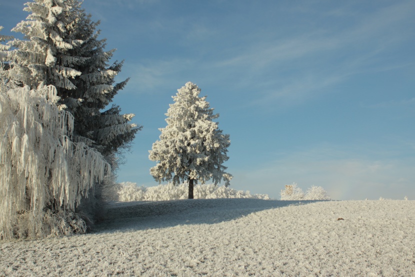 冬天白雪皑皑的美景照片_冰雪风景图片大全第2张