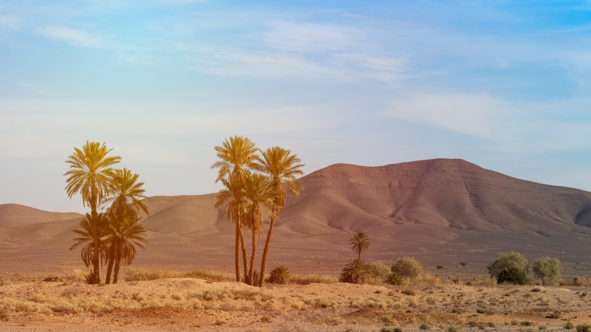 撒哈拉大沙漠图片大全-撒哈拉沙漠全图第1张