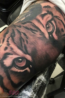 性感迷人的老虎图腾手臂纹身照片欣赏
