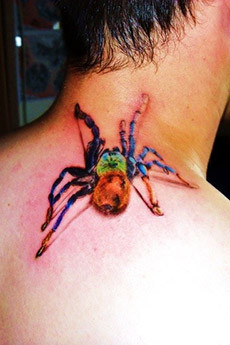 男人后背3D蜘蛛的纹身图案