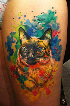 美女大腿暹罗猫的纹身图案