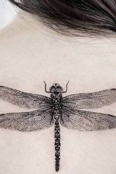 逼真的后背黑色泼墨蜻蜓纹身图片