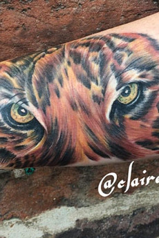 帅哥手臂森林之王老虎头个性动物彩色纹身图片